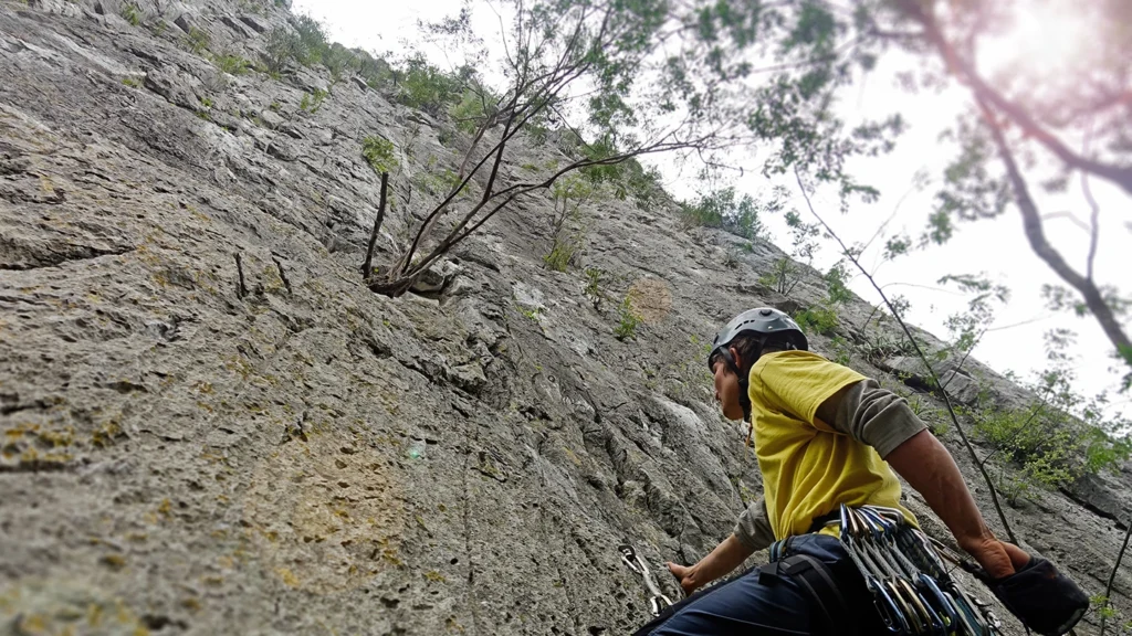 Young India Police School - Hyderabad - Rock Climbing